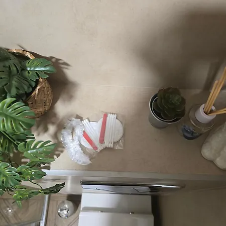 4n Lux & ズラティボール